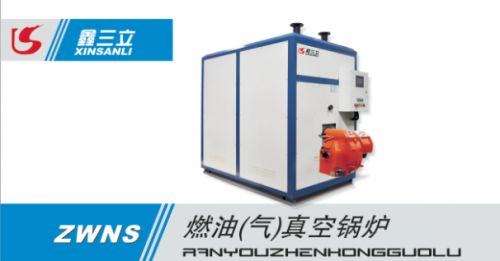 小型燃气锅炉