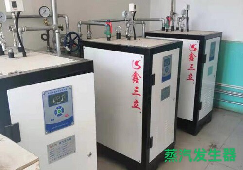 全自动蒸汽发生器生产厂家